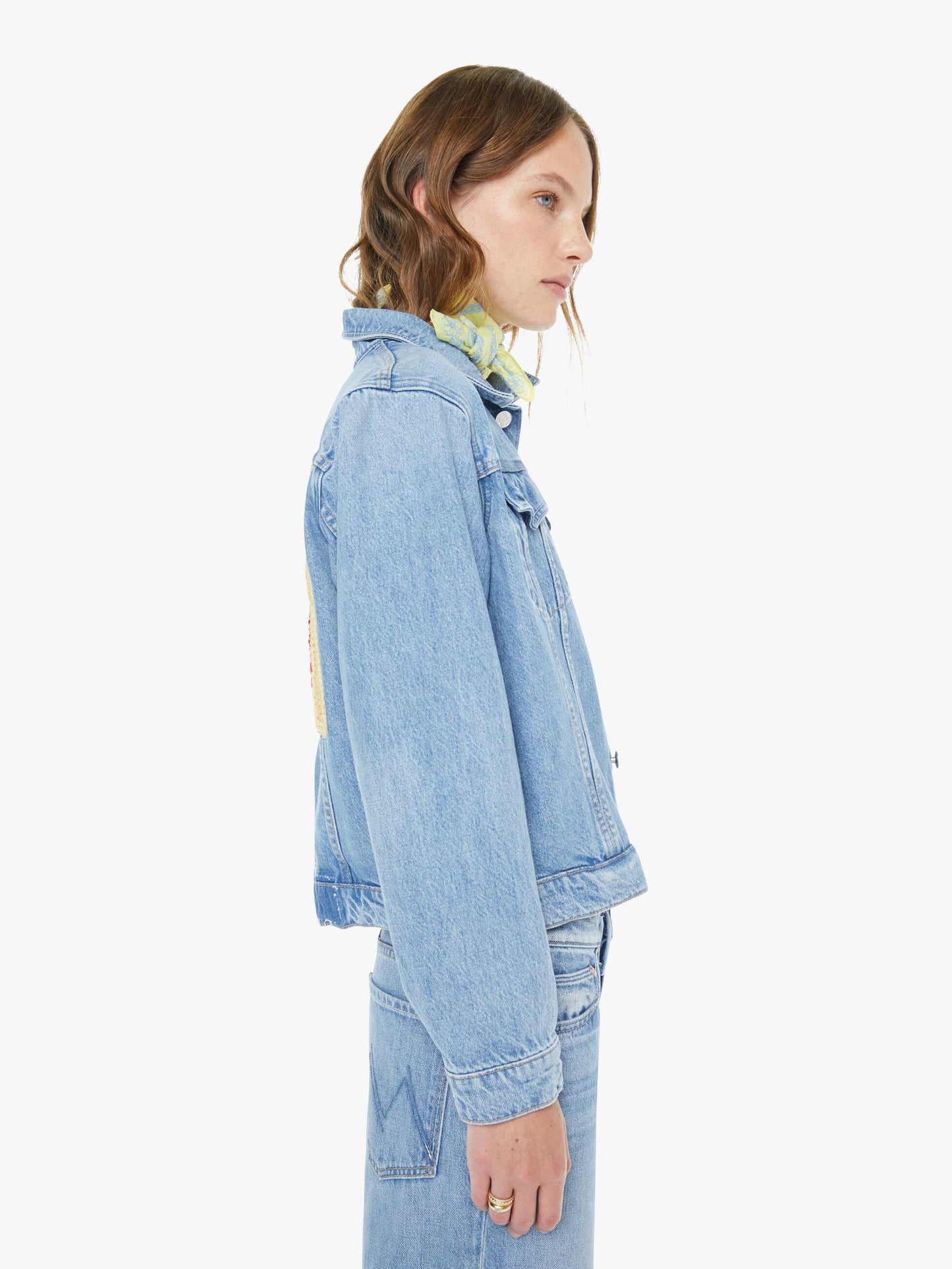 Mother Denim The Bruiser Last Bite